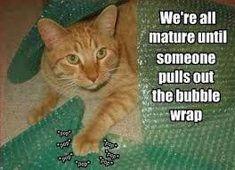 bubble wrap