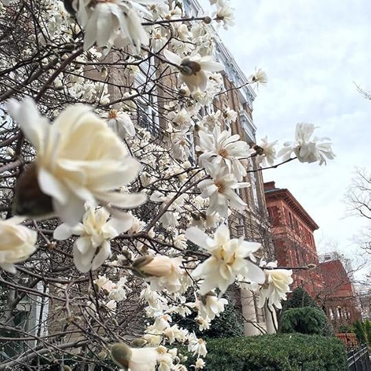 12751395_493939580799597_1763224848_n