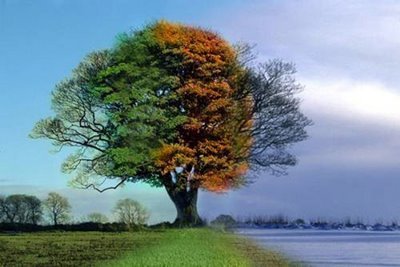 Four seasons in one day