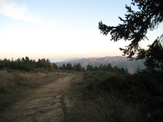 The Dipsea Trail at Dusk