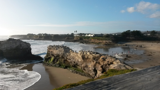 2015 - Beach in Santa Cruz