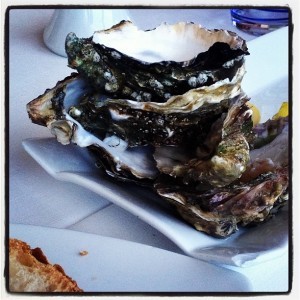 Oysters at Capriccio