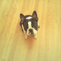 Pic-2016-02-16-23;44;53