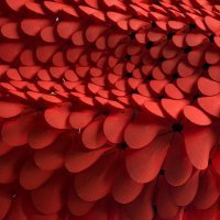 Photo courtesy of Nervous System