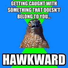 18b8f3da8d524bb6229b39cccc138213