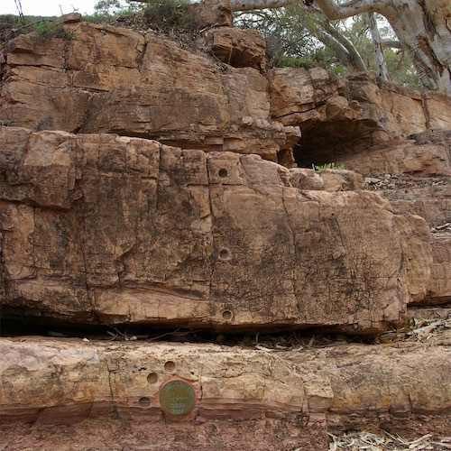 Ediacaran-GSSP-IMGP6652- (1).jpg