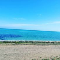 12187705_542625169236439_3137358673980100119_n