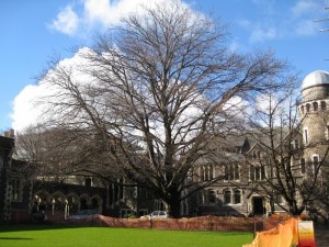 Arts Centre beech. not assessed