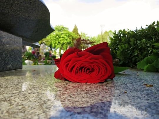 Rose at cemetery by womich. CC0 via Pixabay.