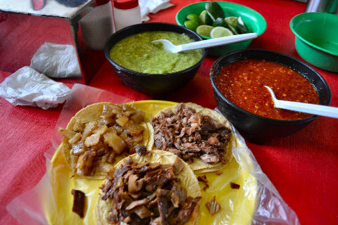 160311coyoacan4