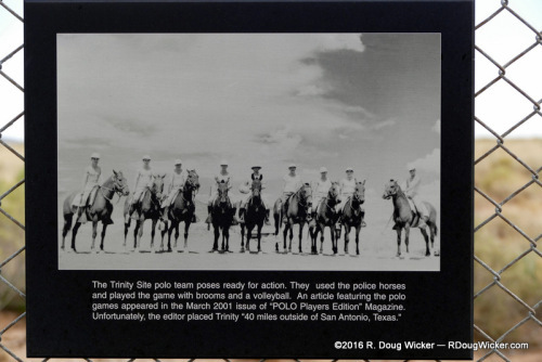 The Trinity Site Polo Team using police horses, broomsticks, and a volley ball