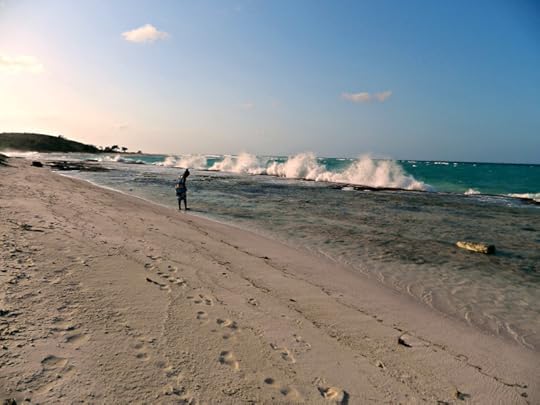 troubled waters DSCN2072 photo 101 day 3 water march 2016