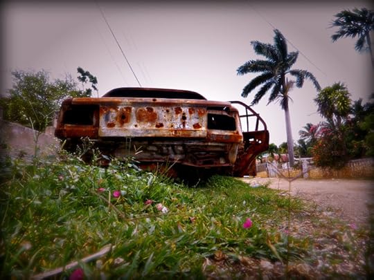 photo 101 day 2 street march 2016