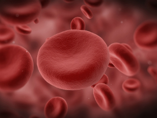 Red Boold Cell Final