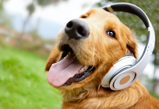 Cute dog listening to music 1_1