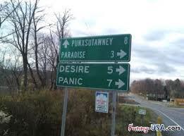 between panic and paradise