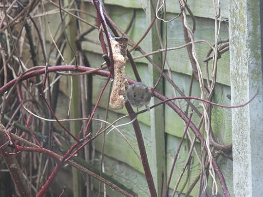 2016-03-09 16.48.58 (2)