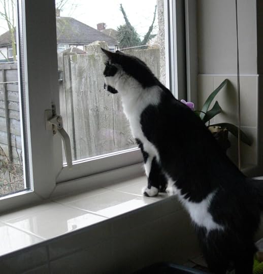 2016-02-10 10.30.54 (2)