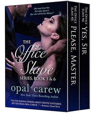 TheOfficeSlave_BoxSet_5&6_300
