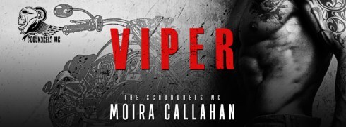 VIPER_evernightpubishing-JayAheer2016-ebook-banner1