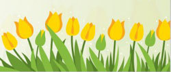 spring flowers