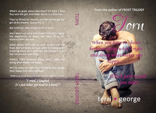 rsz_1torn_final_resized_rgb_colours