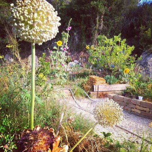 My-permaculture