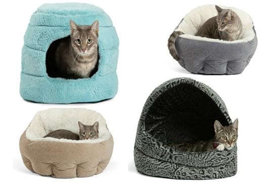 cat-beds