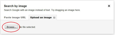 googleimages 6