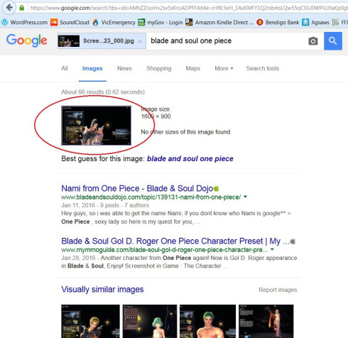googleimages 8