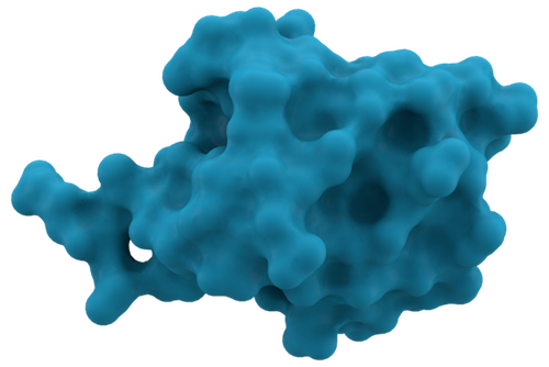 Ubiquitin_1UBQ_surface.png