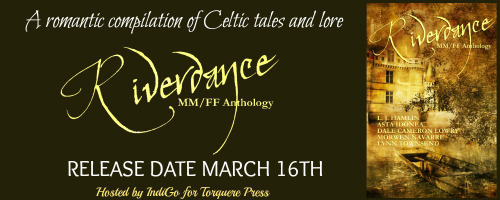 Riverdance Banner v2