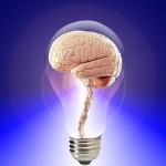 Brain