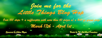 FB Little Things Banner