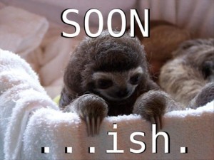 sloth-soon-meme