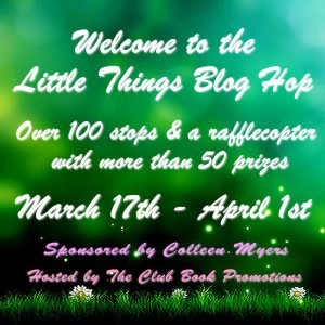 LittleThings Post