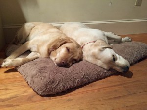 M&R