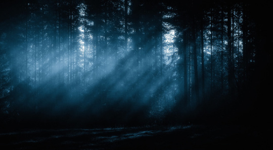 mist_in_the_woods_by_nitrok-d6reryo