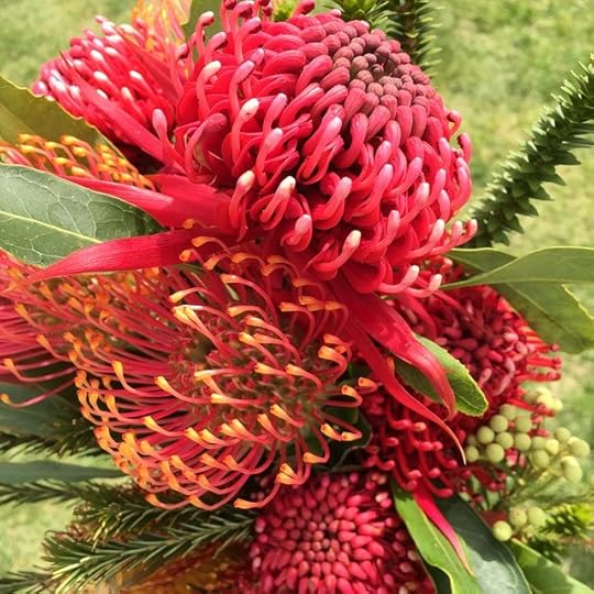 Scored_gorgeous_waratahs_at_the_market_this_morning