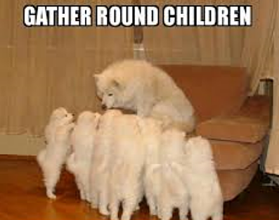  photo 889f79ce-d125-4eee-82e4-a03ef55a6451_zpsnhke1g2l.png