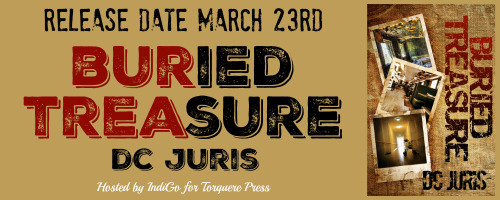 Buried Treasure Banner v2