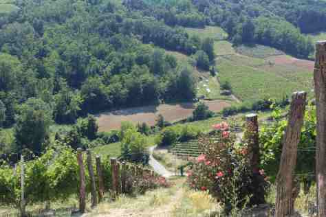 The steepest and one of the most precious of the Marenco vineyards - Scrapona in Valle Bagnario