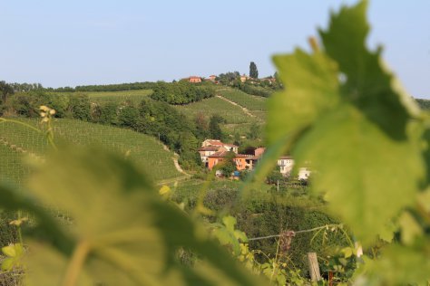 The bucolic Serraboella vineyard was the scene of fierce battles between partisans and fascists between 1943 - 1945.