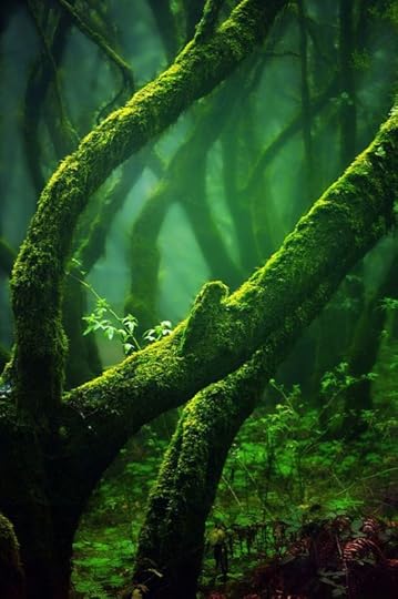 Lush Emeraldine 4