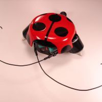 beetleBot_2