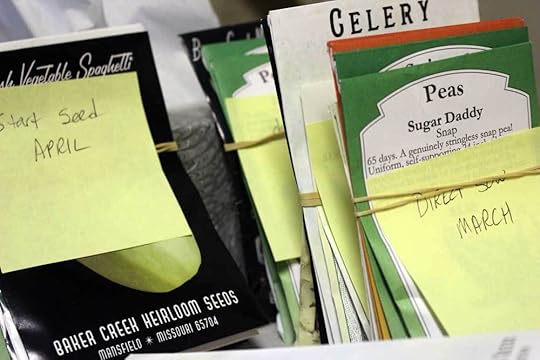 seed-starting-plan