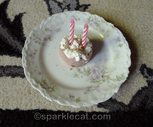 cat birthday cake with whipped cream frosting