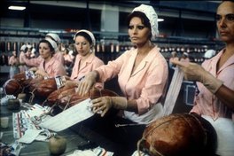 Sophia Loren (right) in La mortadella (1971) by Mario Monicelli Photograph Photos 12Alamy