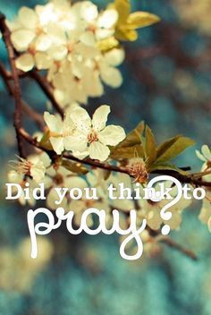 Haiku-Friday-poetry-The Writer Next Door