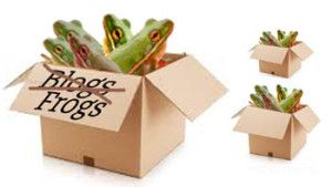 Box of Blogs Frogs